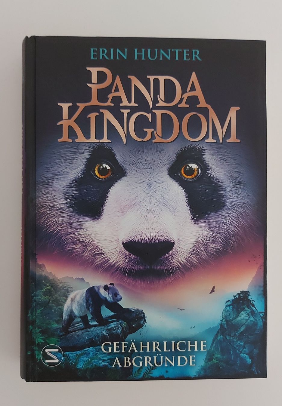 Libri: Kinderbücher "Panda Kingdom", Band 1-2 – Nuovo e nell'imballaggio originale da Wabern venduto da Irakene 6