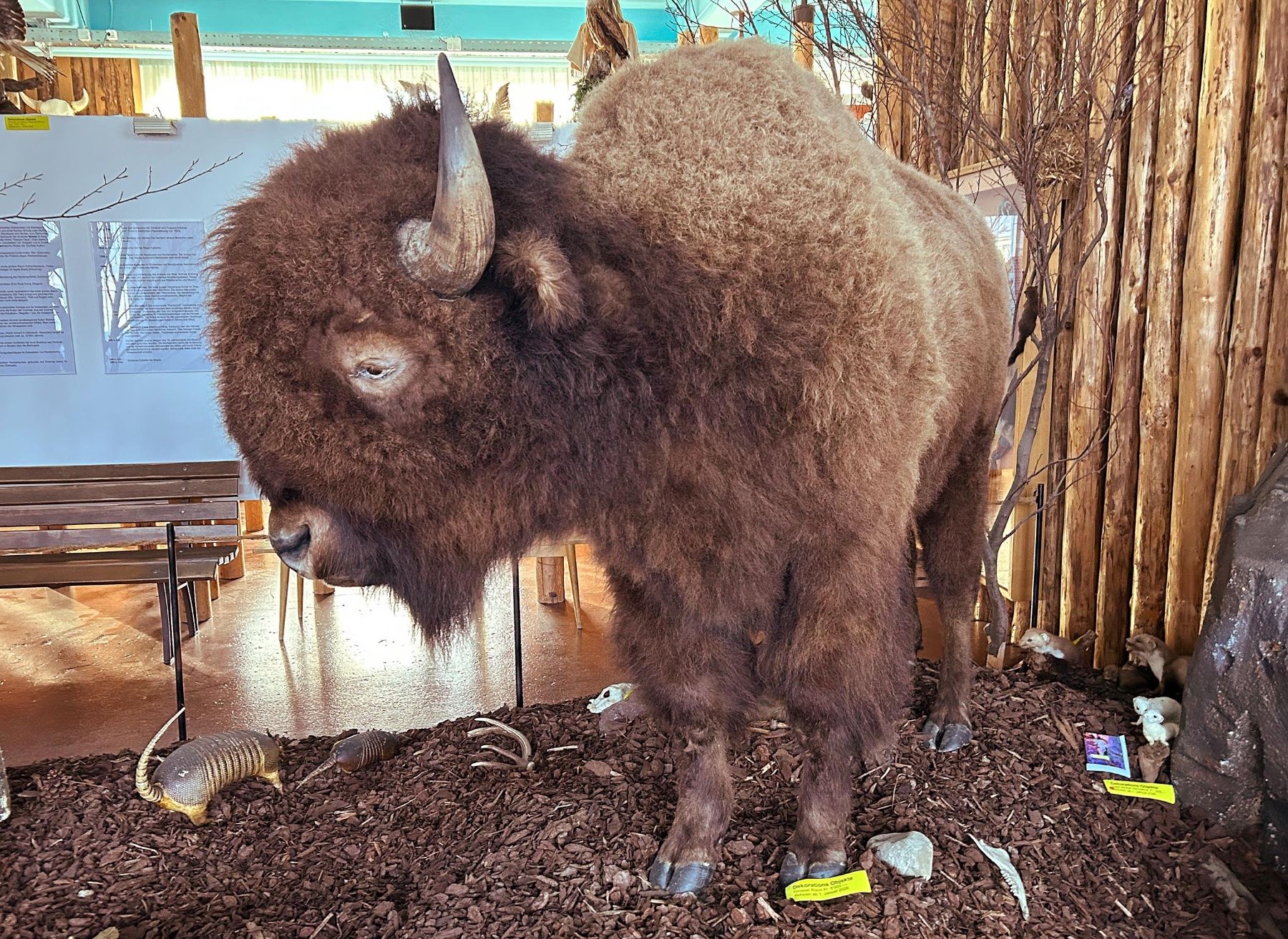 Il mondo degli animali: Grosses Tier – Usato da Bäretswil venduto da robsonantik 1