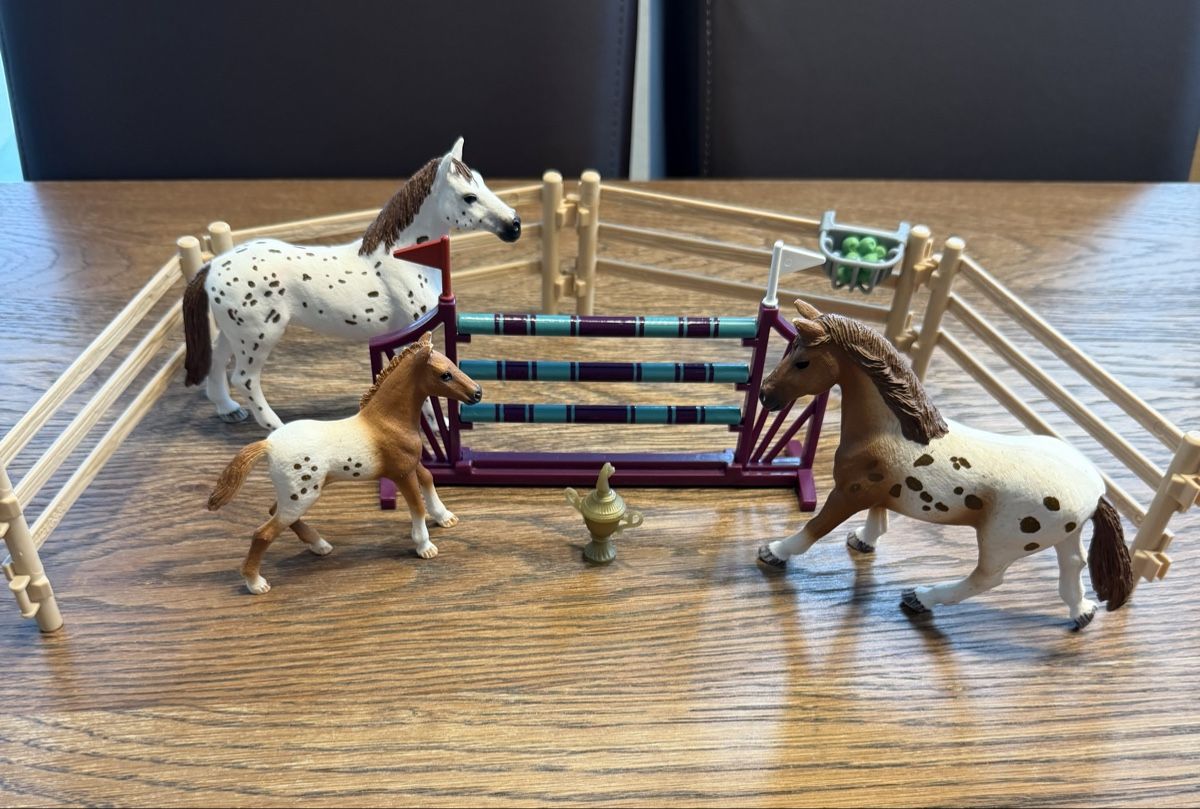 Schleich Giocattoli: Schleich Lisas Turnier - Training – Usato da Auw venduto da grisu81