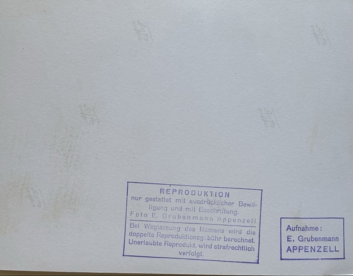 Cartoline postali: Foto E. Grubenmann, Appenzell, Bergwelt, 13x18 cm – Usato da Frauenfeld venduto da Merk52 1