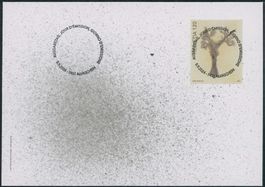 2024 - Kunst - Ersttagsbrief FDC ET - Ersttag Voll Stempel