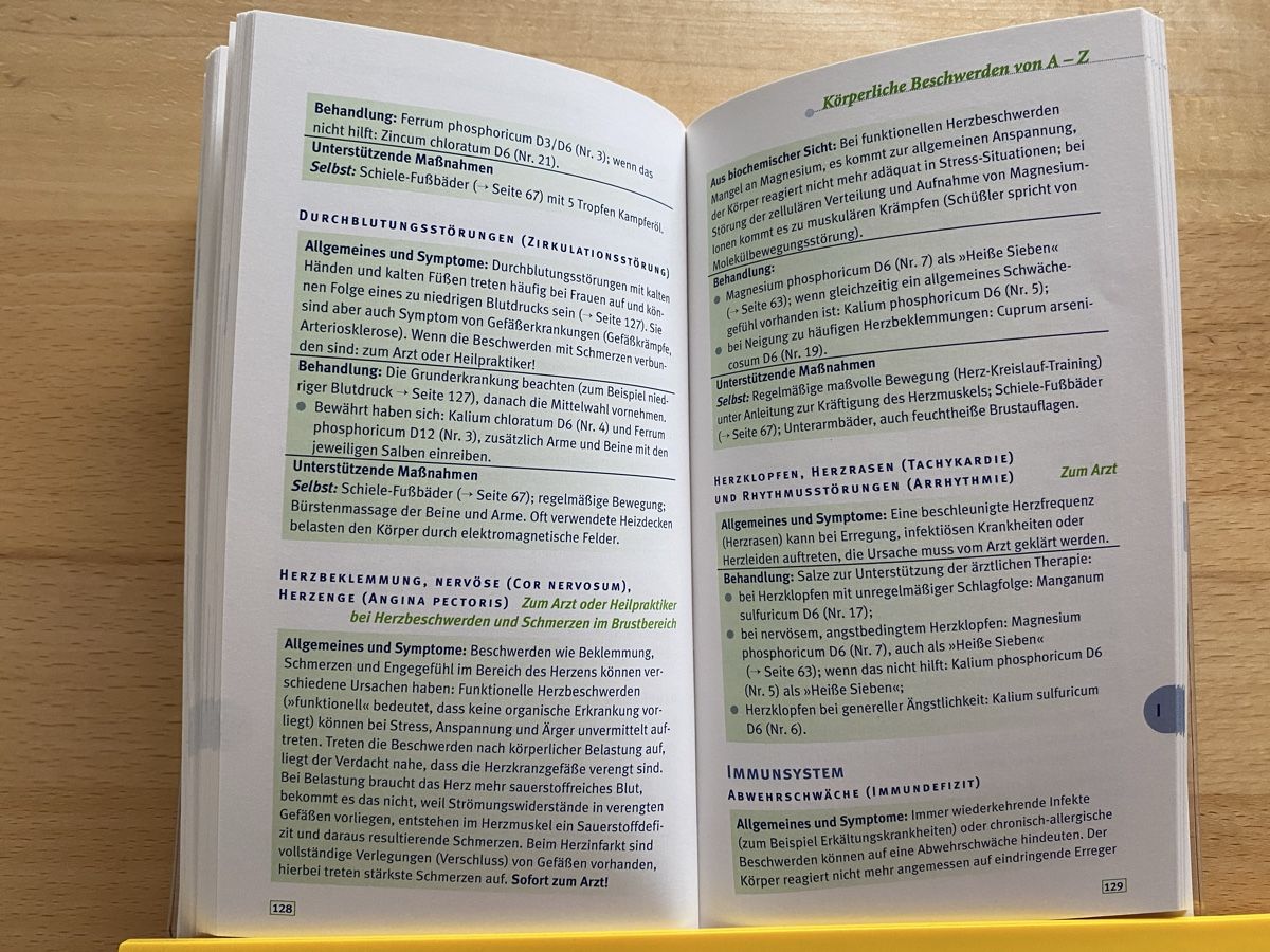 Libri: Schüssler-Salze - Günther H. Heepen – Usato da Schwarzenburg venduto da Michellu 7