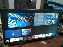 Lg TV Gerät