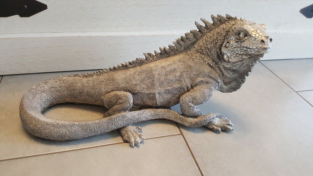 kare-echse-leguan-silber-gebraucht-in-f-r-chf-102-nur-abholung-auf