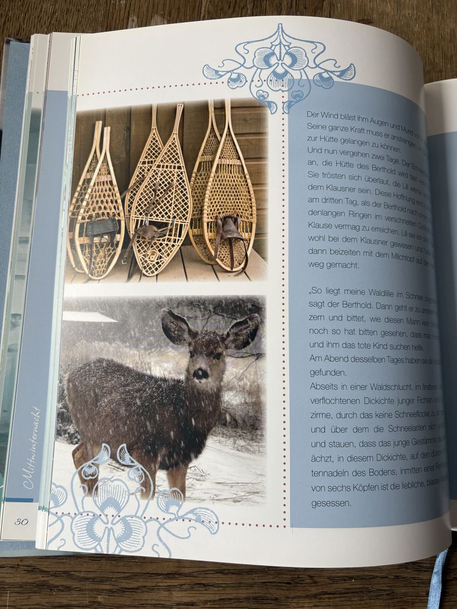 Libri: Buch Wintergeschichten schön illustriert – Usato da Baden venduto da jdif 3