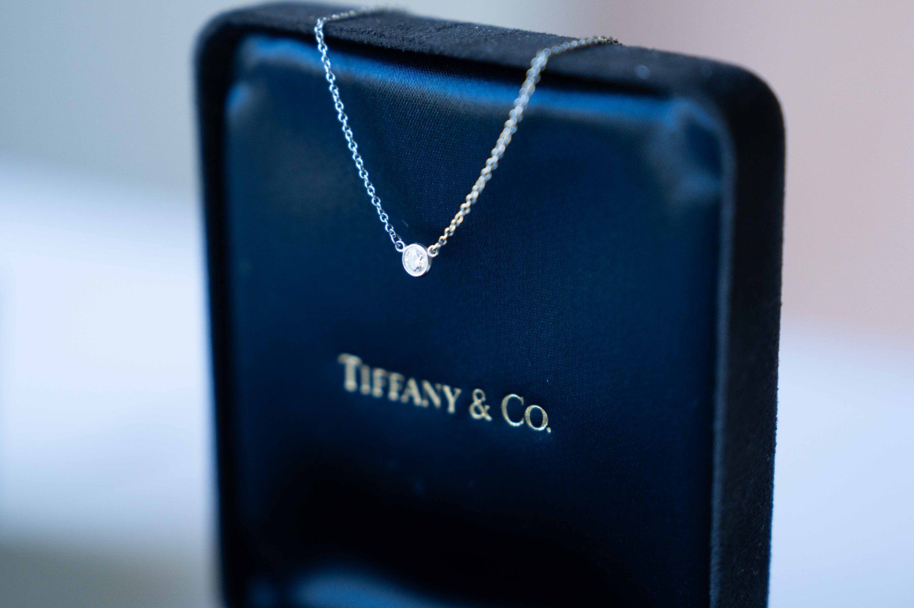 Tiffany & Co. Ketten: Tiffany - Elsa Peretti Single Diamond Platinum Pendant – Gebraucht aus Clarmont von sil_59s9 2