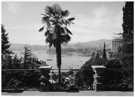 Fotografo Torre Cassarate Lugano