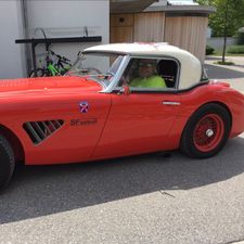 Profile image of Healey1955