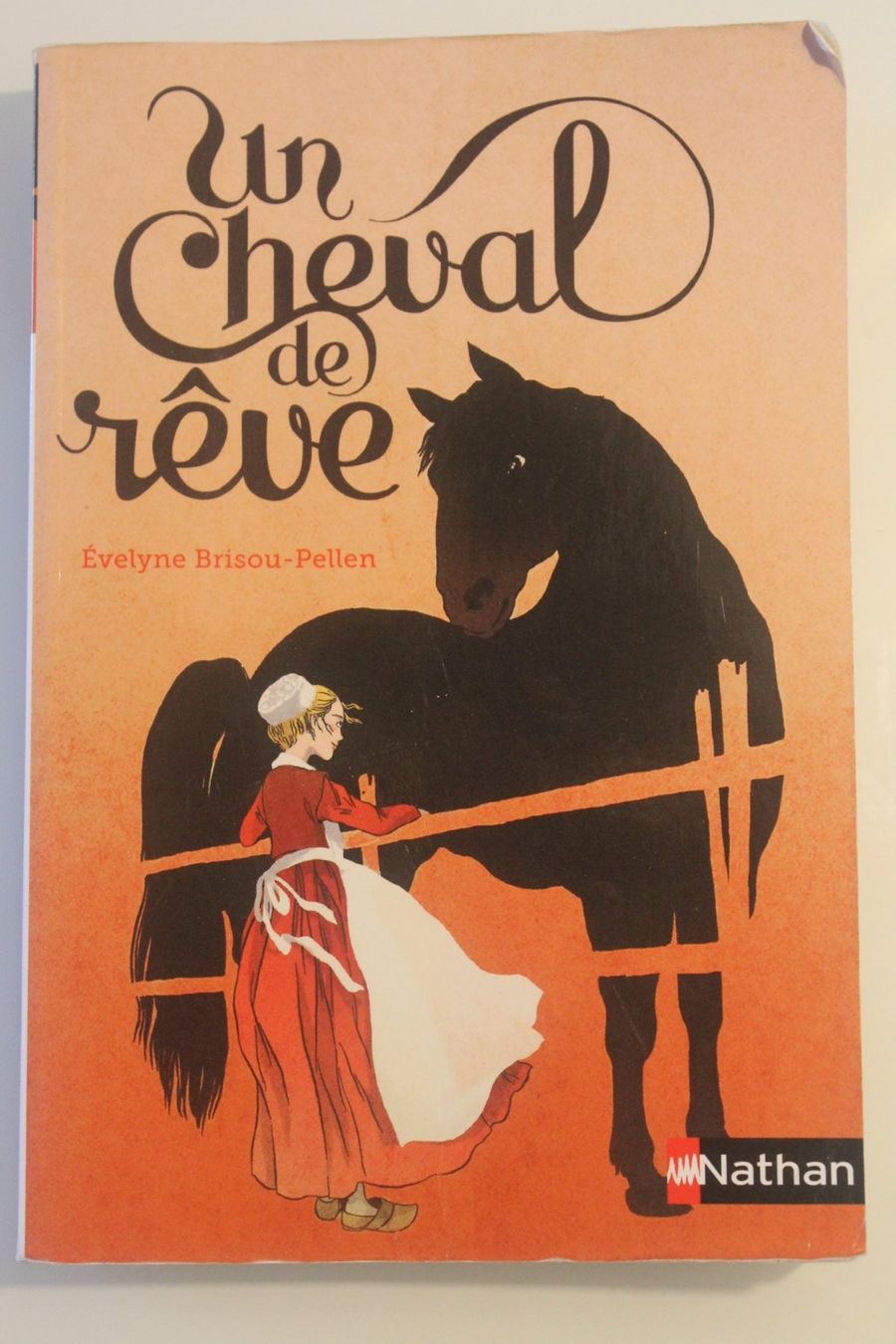 Libri: Livre " Un Cheval de rêve" – Usato da Daillens venduto da guisepa