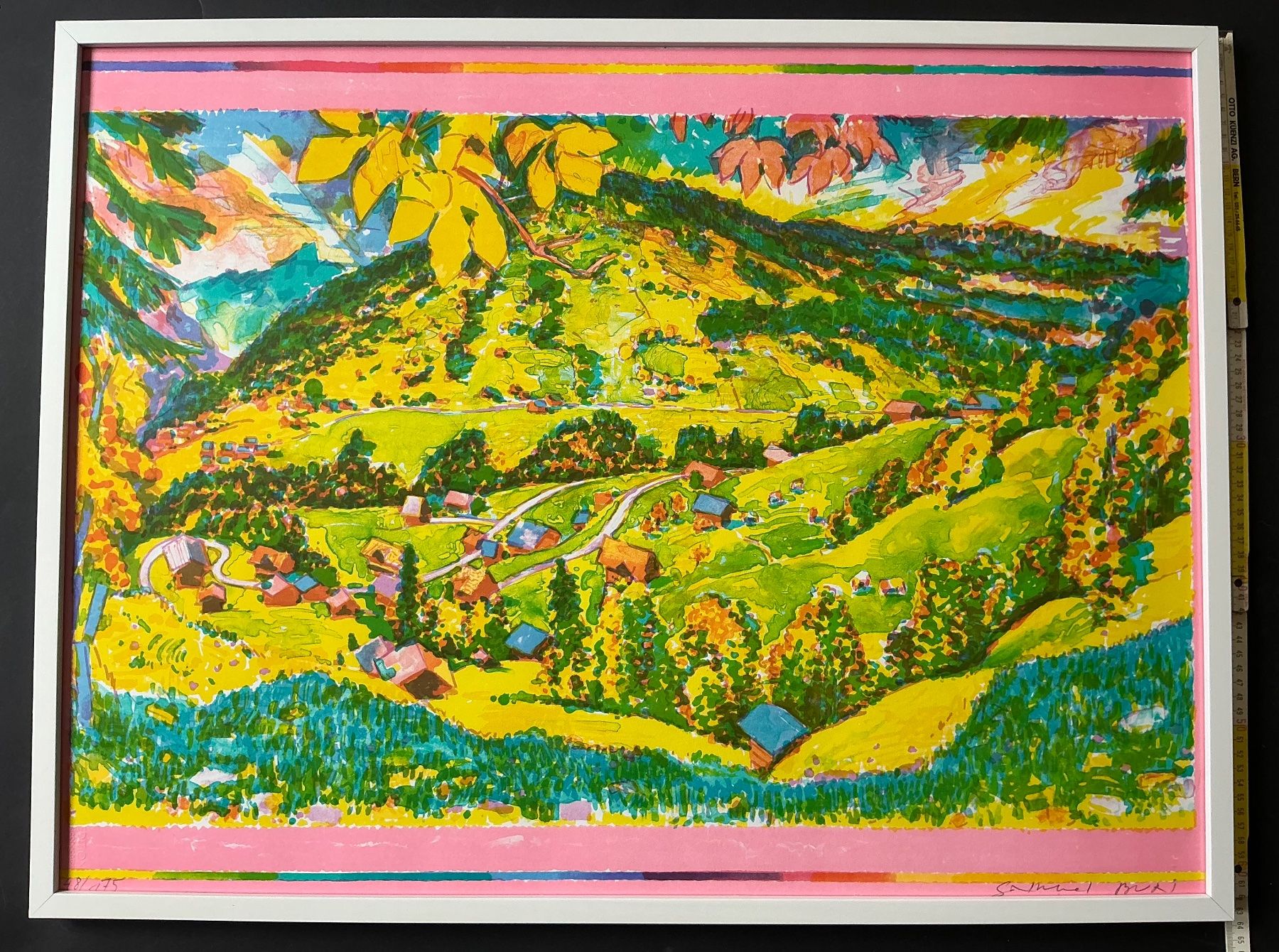 Grafica & Litografie: Samuel Buri - Lithographie – Usato da Pieterlen venduto da LM1446 1