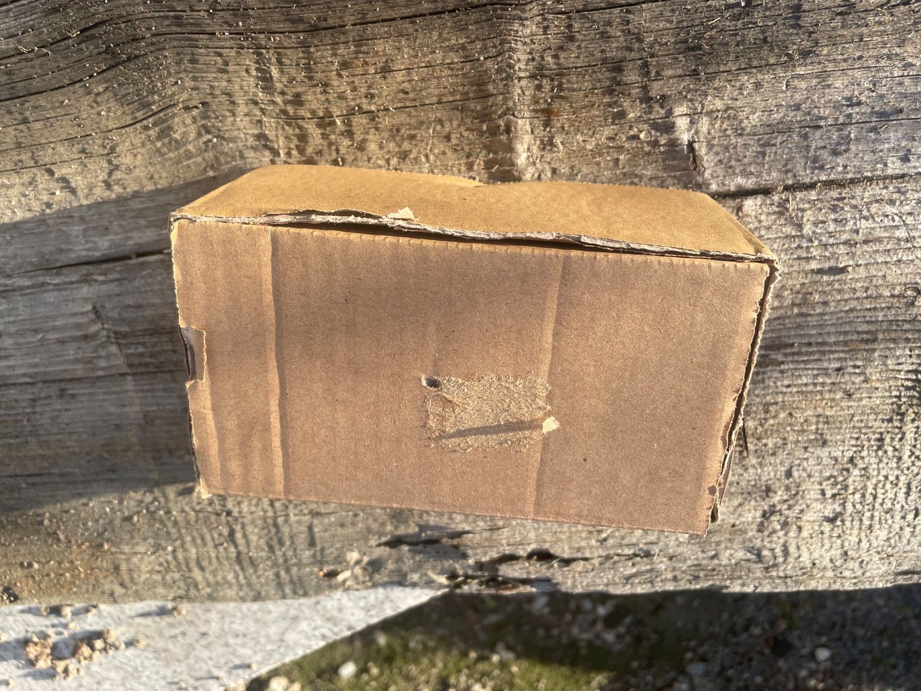 Mofas: Feu arrière  Hella . – Neu und originalverpackt aus Leytron von ACLEONARD01 5