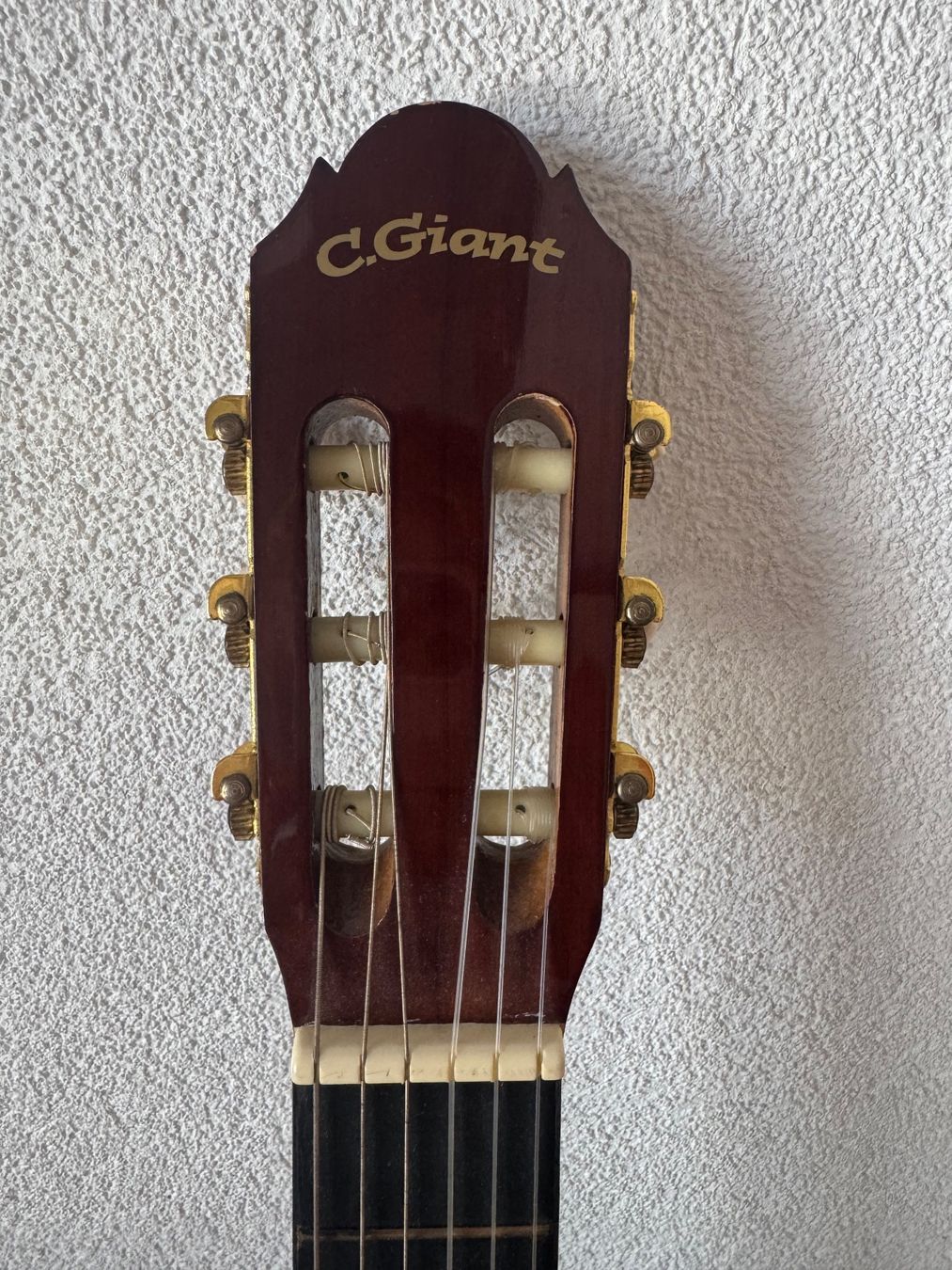 Strumenti musicali: Konzertgitarre C.Giant – Usato da Wigoltingen venduto da s.xnaa_ 2
