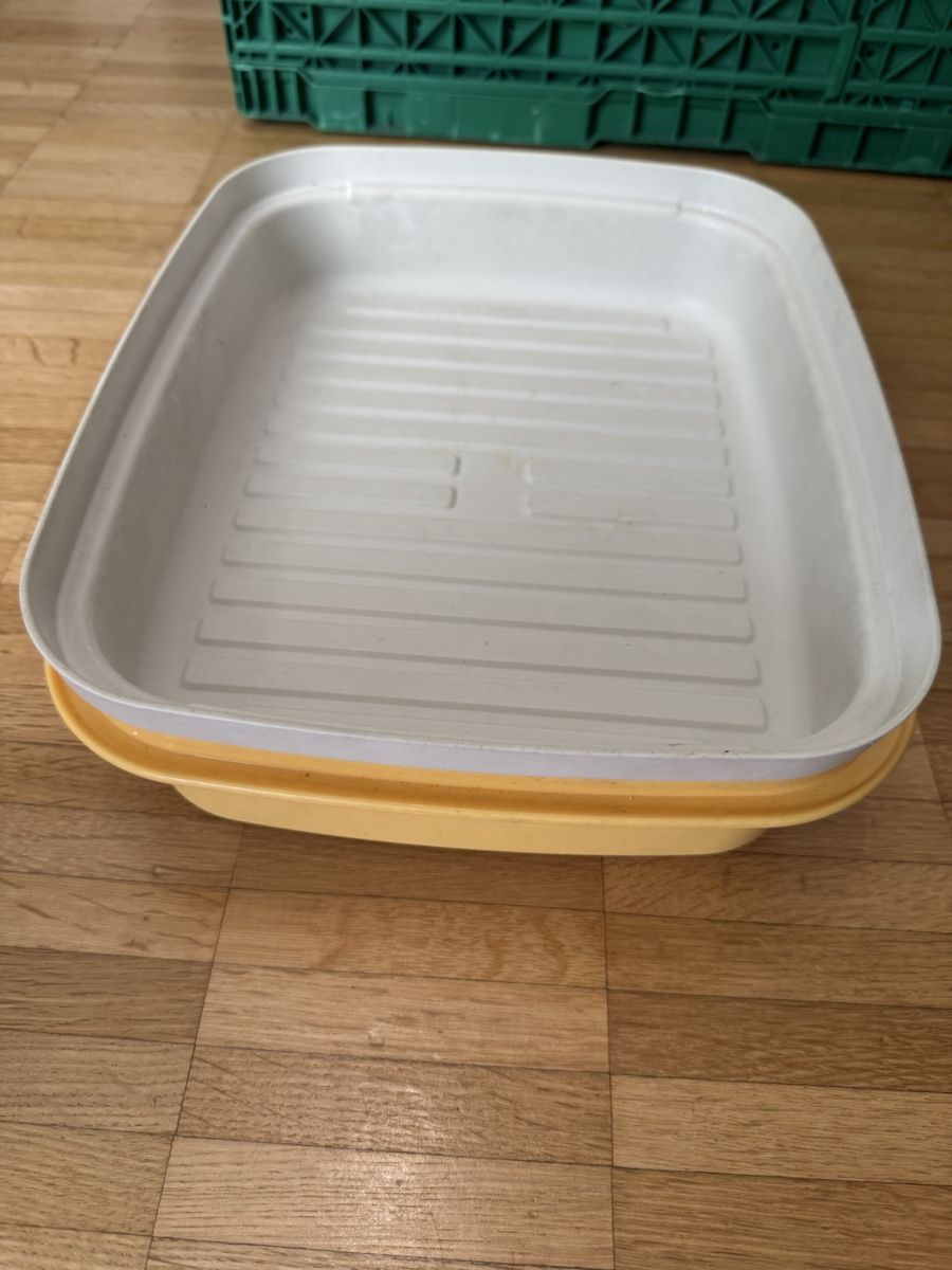 Contenitori & Simili: Contenitore Tupperware vintage - Ideale per picnic! – Usato da Viganello venduto da BlackPanda0003 4