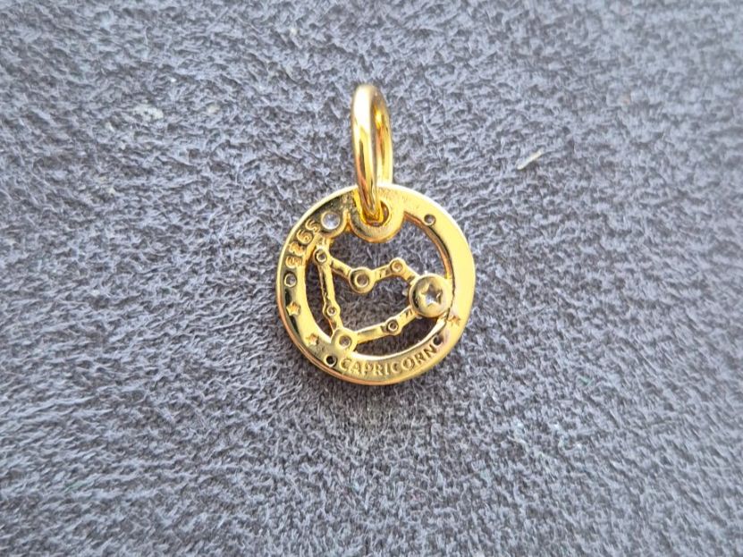 Ciondoli: Silber Charm Sternzeichen Steinbock goldfarbig +Garantie – Nuovo (secondo la descrizione) da Rotkreuz venduto da Carbone_Bijou-Shop 2