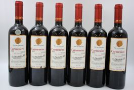 6x Viña von Siebenthal Carmenère 2022 / CHF126 (26070565Z)