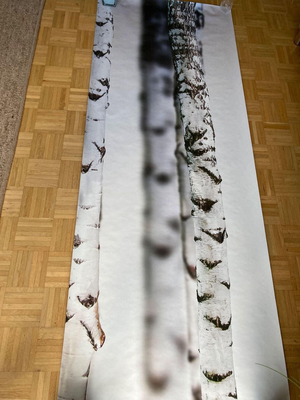 Carte da parati: Fototapete Papier "Birken" – Nuovo (secondo la descrizione) da Samedan venduto da chickenrun01 3