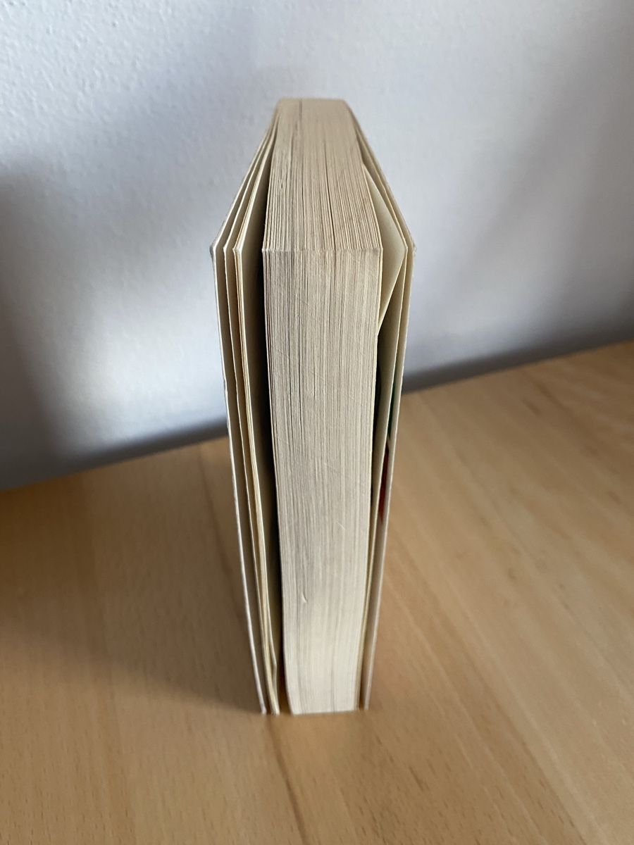 Libri: The Pilgrimage - Paulo Coelho – Usato da Schwarzenburg venduto da Michellu 3