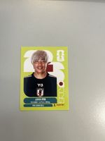 Panini 2026