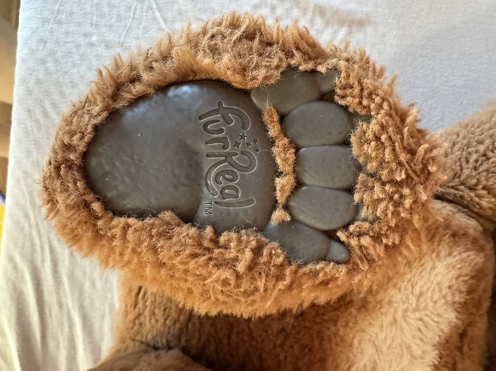 Giocattoli: FurReal Cubby the bear – Usato da Reiden venduto da clou25 1