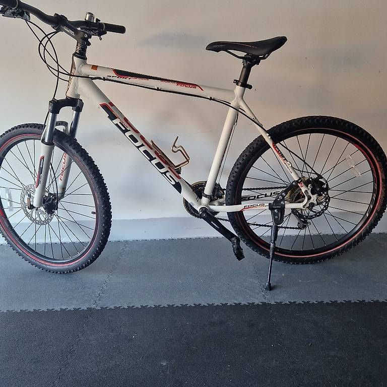 Velos: MTB Focus Sport – Gebraucht aus Agno von hen_b8pm