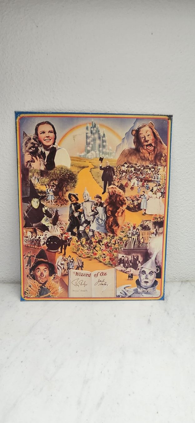 Schilder: Blechschild Wizard of Oz – Gebraucht aus Belp von Ginus85