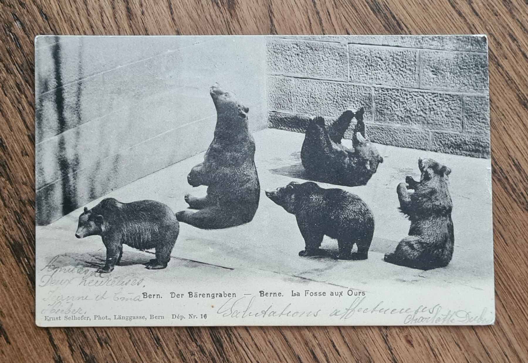 Cartoline postali: Bärengraben Bern 1905 – Usato da Ebikon venduto da Donar50