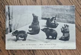 Bärengraben Bern 1905