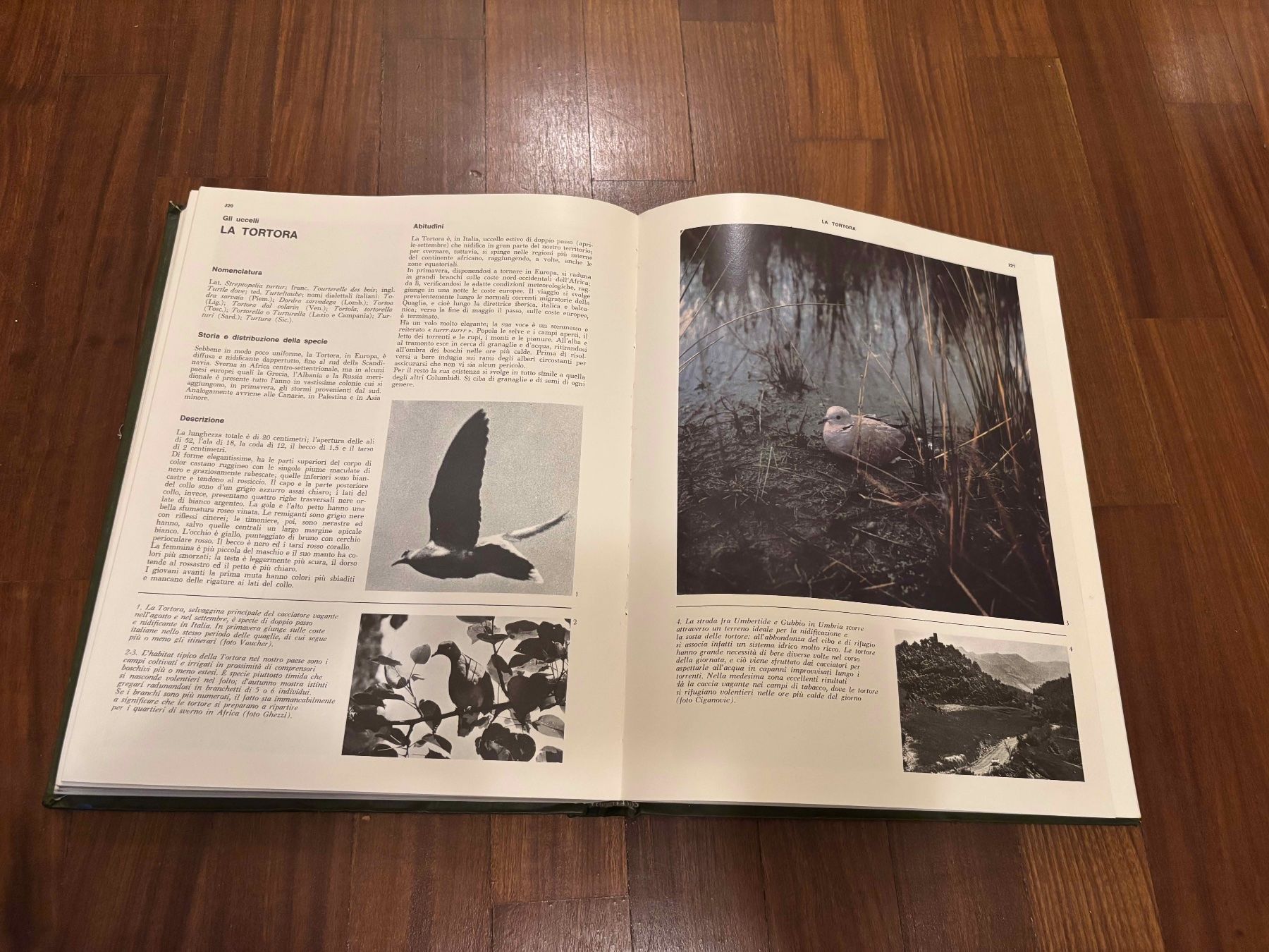 Libri: Enciclopedia della Caccia 3 Volumi – Usato da Lugano venduto da Mark_Young 1