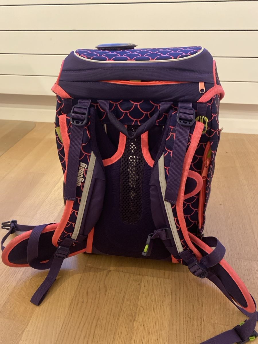 Ergobag Borse & Zaini: Ergobag Schulrucksack: Das perfekte Geschenk für Schulkinder – Usato da Wald ZH venduto da Seller_8 1