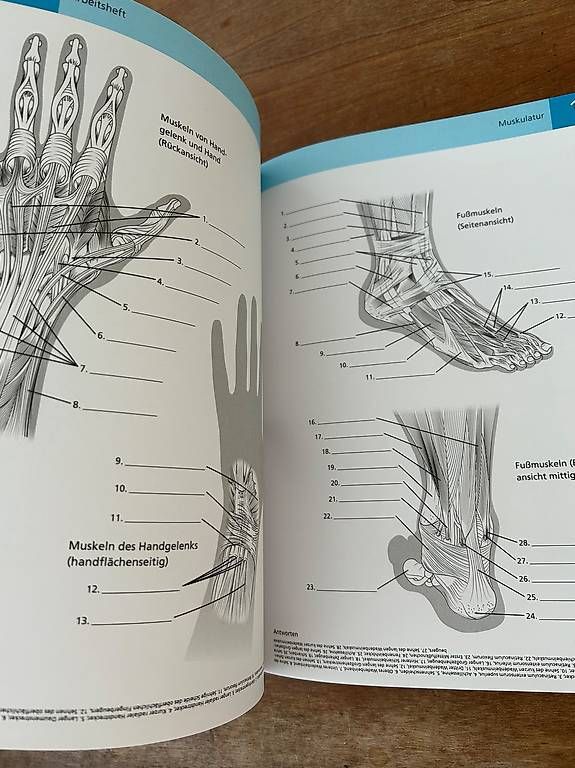 Libri: Die Anatomie des Stretchings - Prof. Ken Ashwell – Usato da Bern venduto da IU_Nicu 2