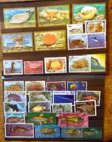 Motive - Fische / Poissons