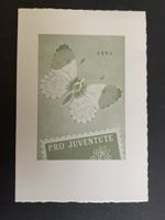 Juventute