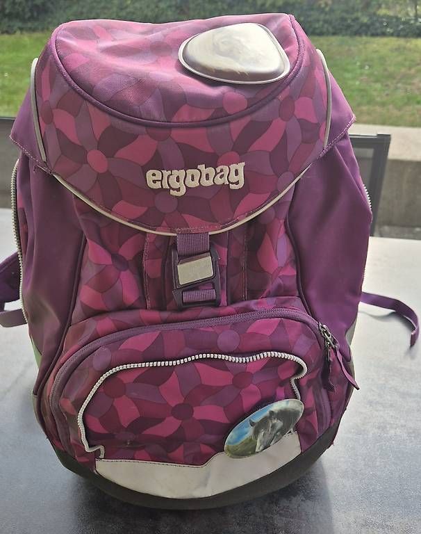 Borse & Zaini: Ergobag Schulthek-Set für Mädchen  – Usato da Seuzach venduto da Adlerone77 1