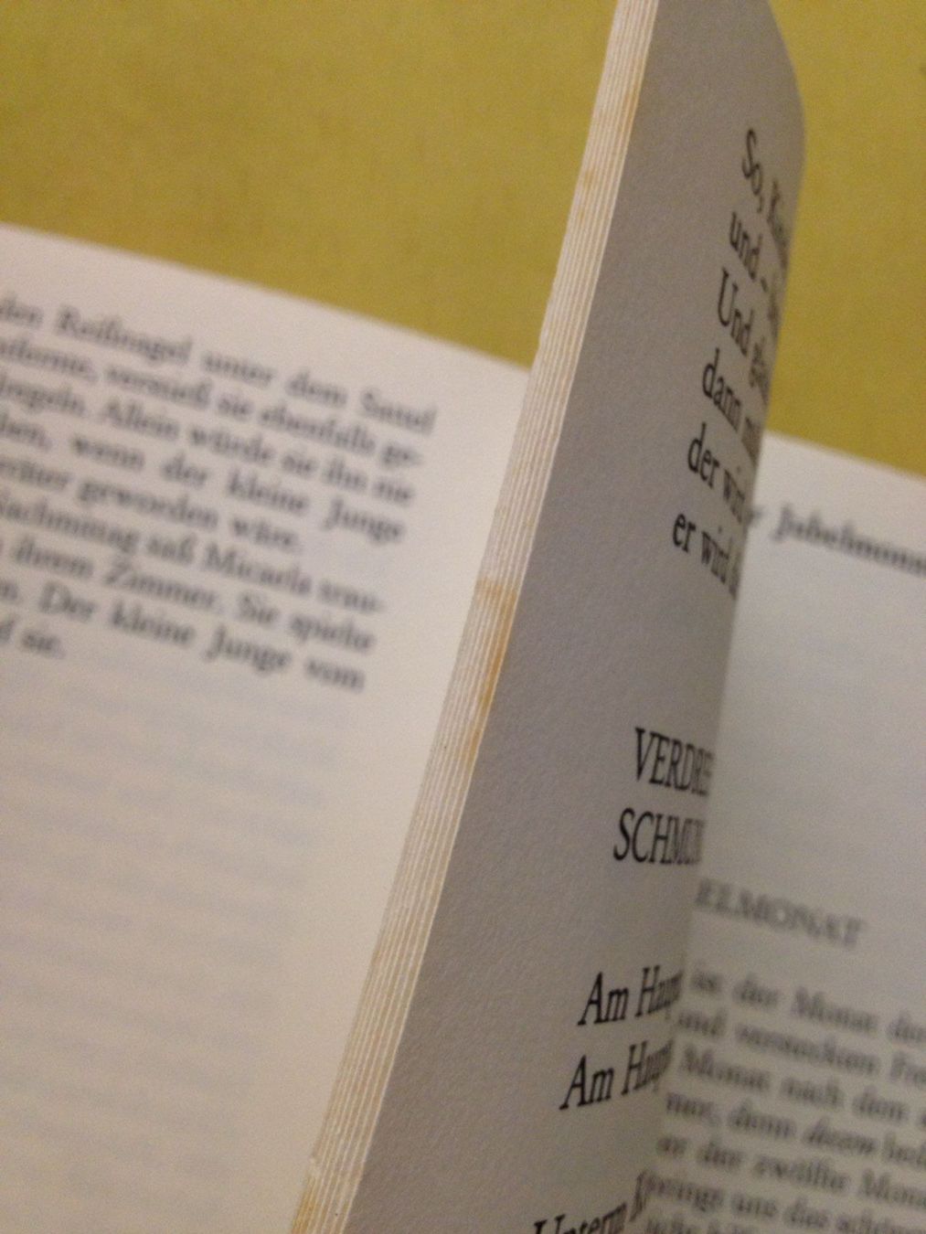 Libri: Buch "Fröhlich durch das Kinderjahr – Usato da Siegershausen venduto da Bubsi83 7