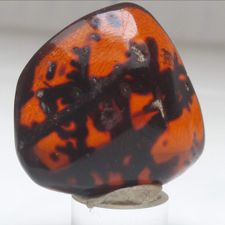 Profile image of hagazusse