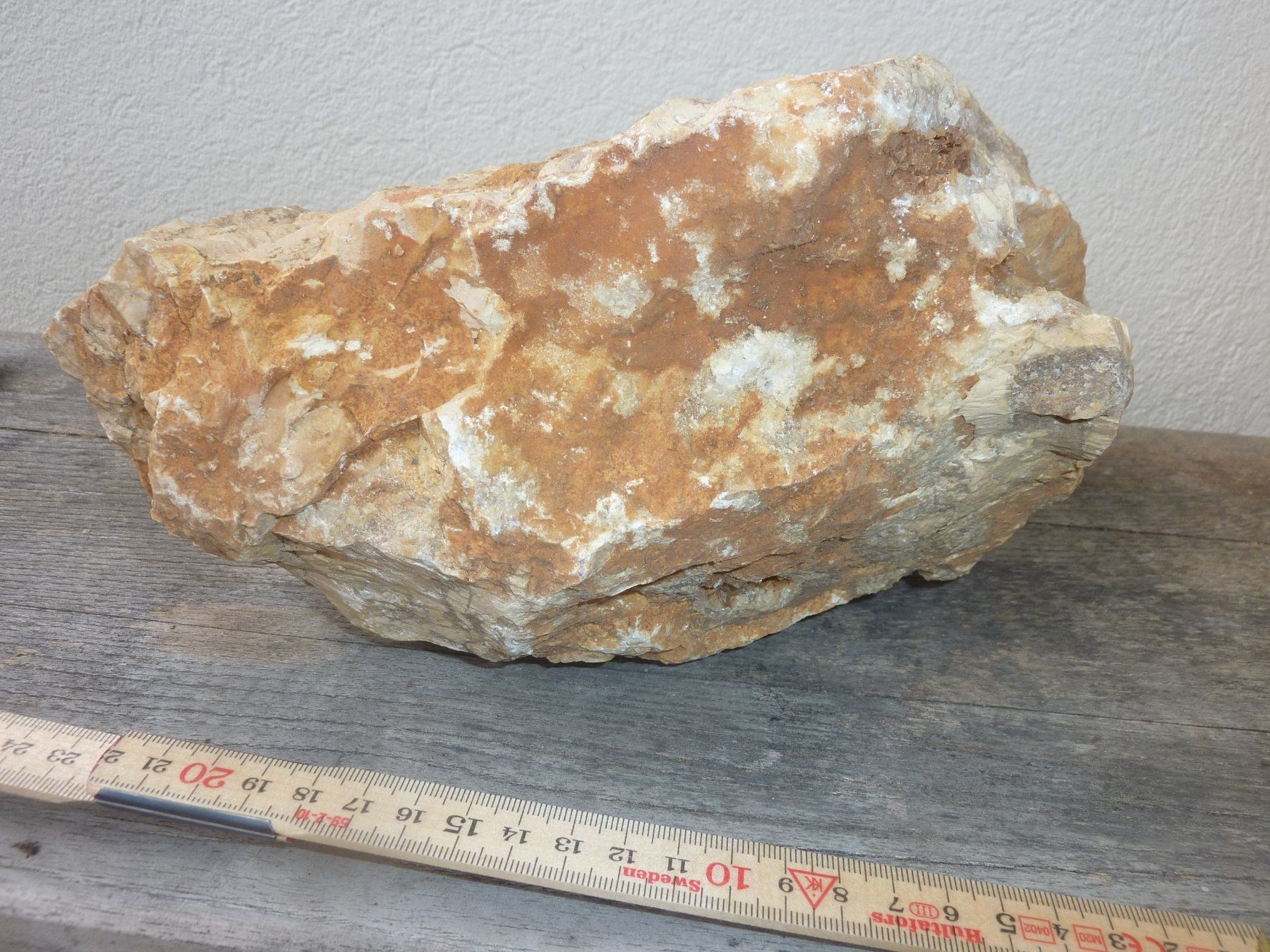 Fossili: Grosse, versteinerte Koralle, Rohstein – Nuovo (secondo la descrizione) da Triengen venduto da Nussbaum14 5