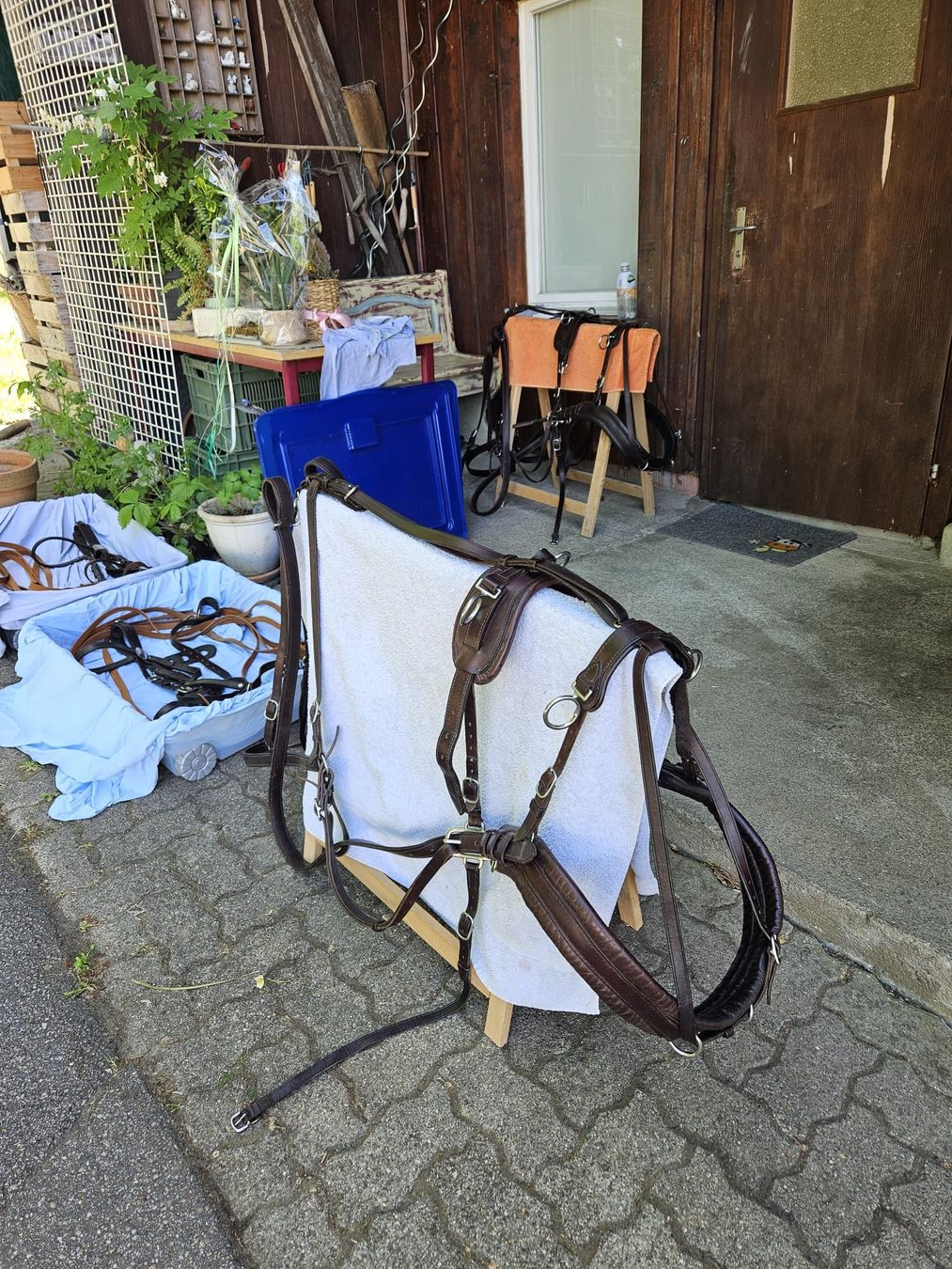 Briglie & Cavezze: Esel / Pferd3 geschirr Leder braun  – Usato da Winterthur venduto da Winti1993 3