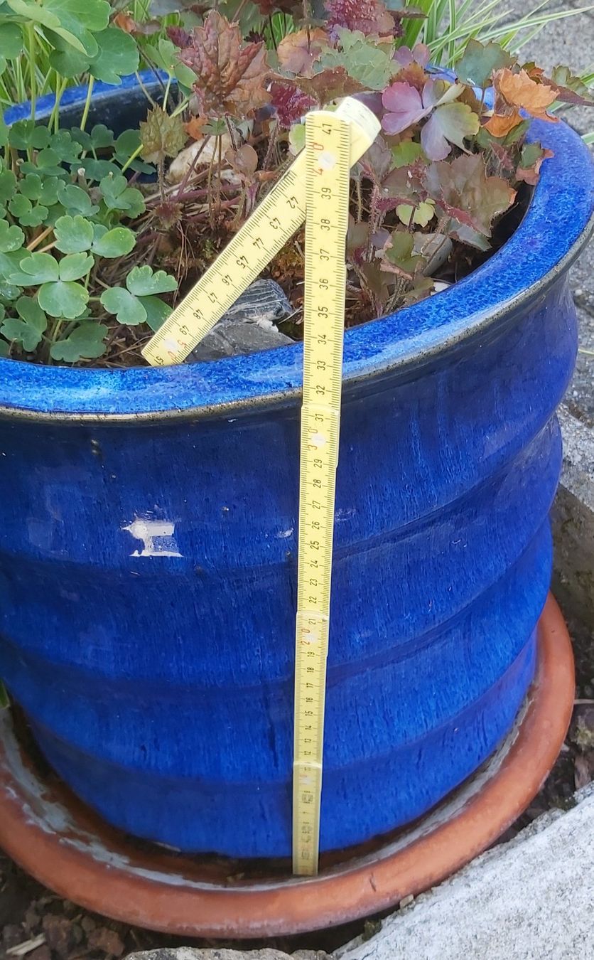 Vasi per fiori: Blauer Keramiktopf mit Bepflanzung – Usato da Greppen venduto da 86Sina 1