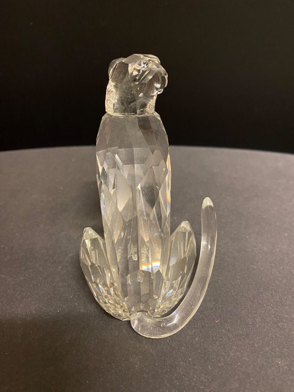 Swarovski Figuren: Cheetah 1994 - Swarovski Figur – Gebraucht aus Zürich von Manuel.Huber 2