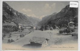 Wilderswil - Panorama