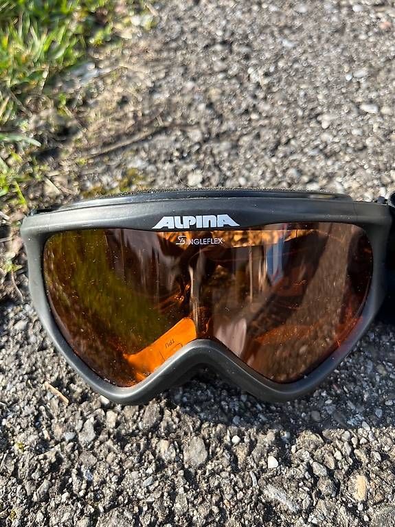 Brillen & Gläser: Kinderskibrille Alpina Driber – Gebraucht aus Bellikon von Ndorfer