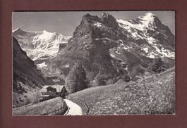 GRINDELWALD - Fiescherwand - Eiger - 1964