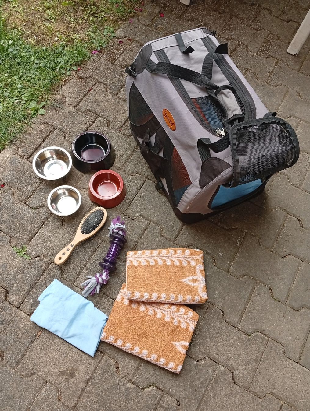 Swisspet Gabbie, trasporto & Sicurezza: FERIEN  Hundebox + alles drumherum ab 29.--Fr – Usato da Killwangen venduto da Freds7 3