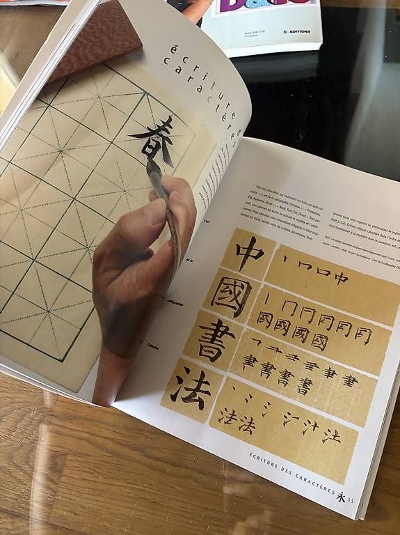 Libri: Livre Calligraphie chinoise – Nuovo (secondo la descrizione) da Perroy venduto da barballalla 2