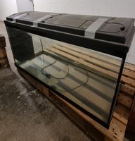 Aquarium 