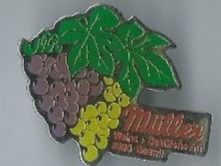 Müller Weine Boswil PIN