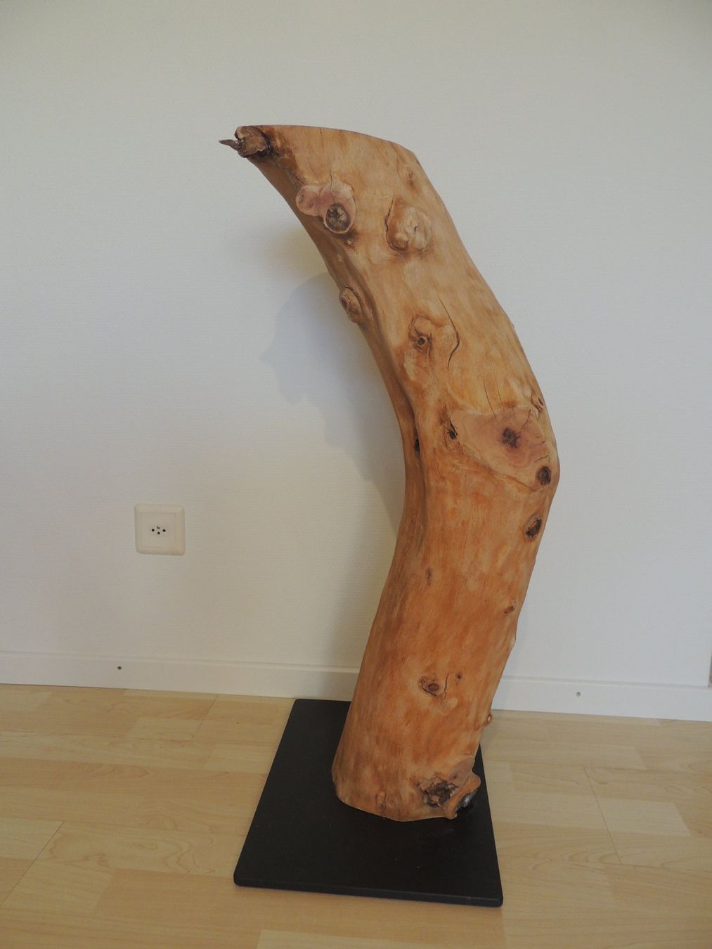 Articoli in legno: Baumstamm / Deko-Säule – Usato da Rickenbach b. Wil venduto da heinz5 2