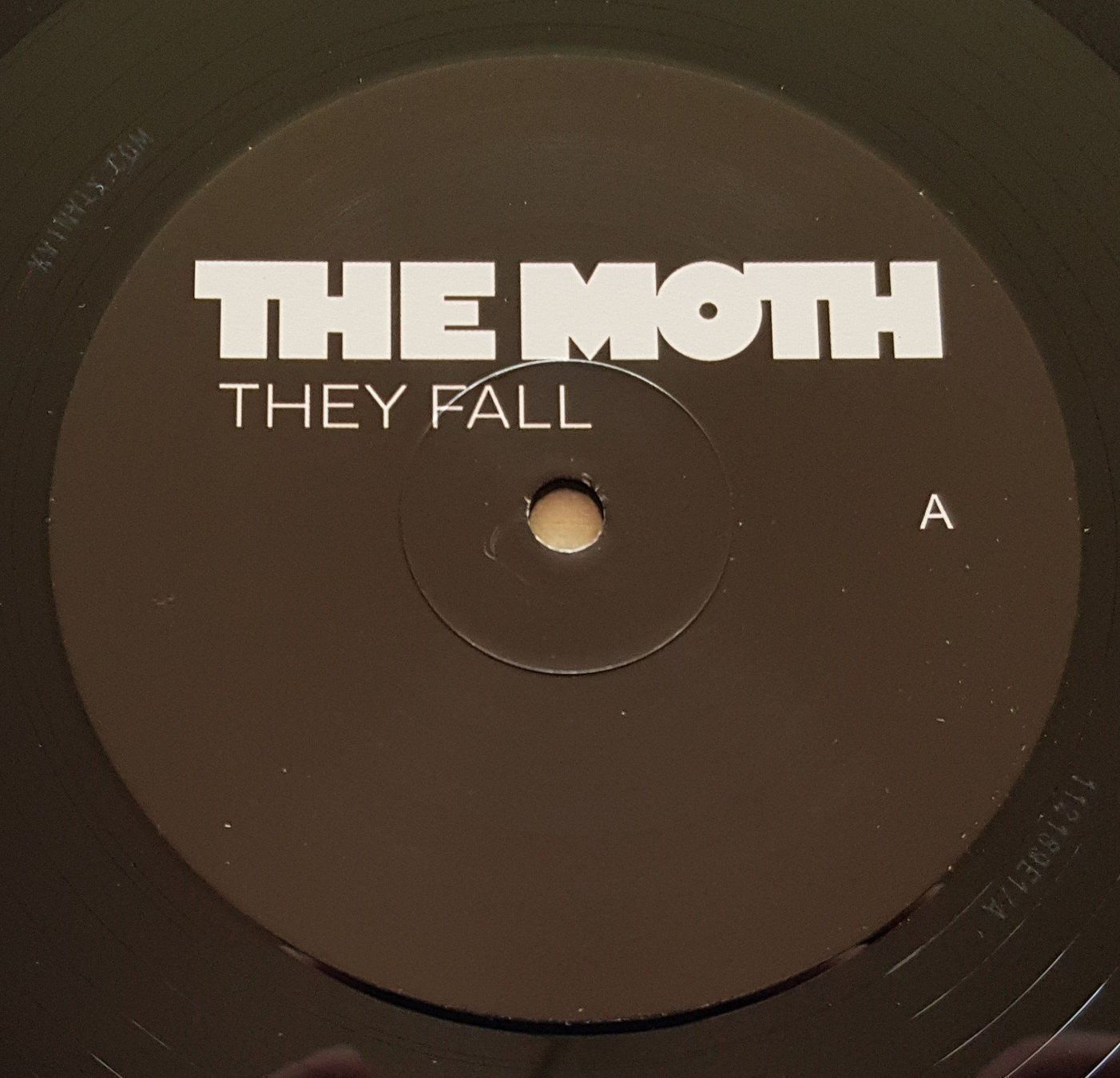Dischi in vinile: The Moth - They Fall - LP - 2013 - First Press - SIGNED – Usato da Uster venduto da Zardodel 4