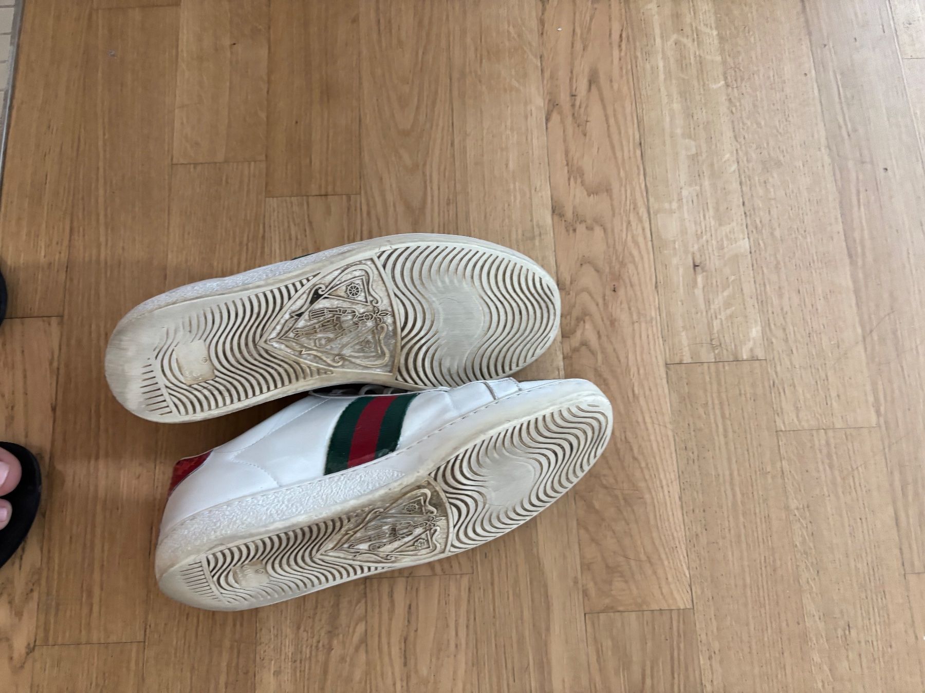 Scarpe da donna: Gucci ace 40 – Usato da Zürich venduto da poq_jg82 4