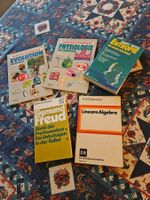5 wissenschaftliche Bücher zum Schmökern